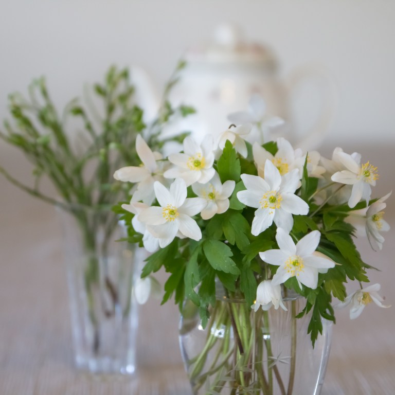 Kukkia_aidille_080516-33