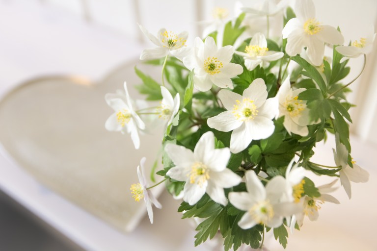 Kukkia_aidille_080516-53